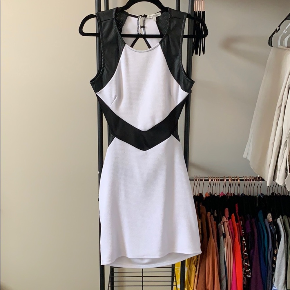 Fitted Dress